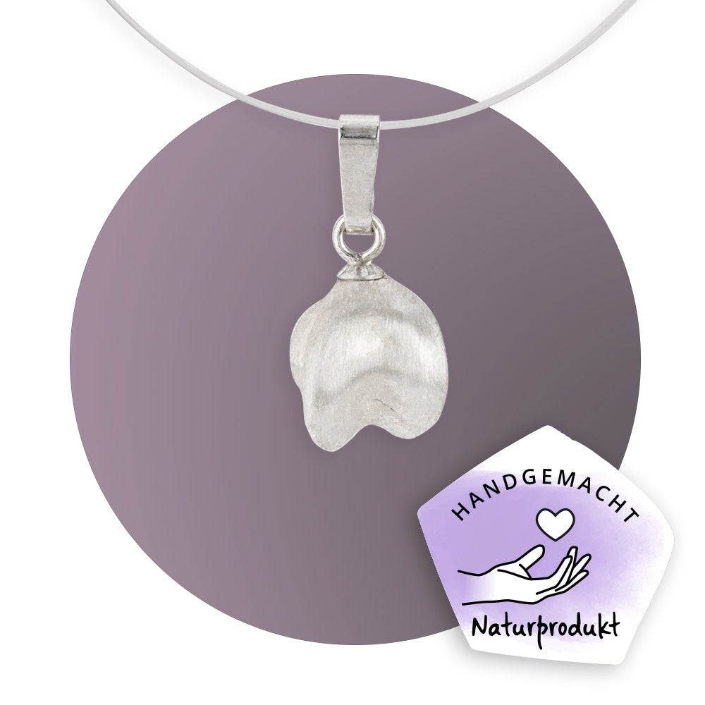 Silberkleid „Pfaffenhütchen“